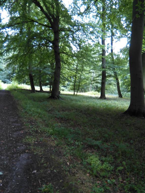 Lystskov Camping & Cottages Korsør Zewnętrze zdjęcie